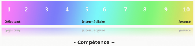L'Échelle propose 10 niveaux de compétence en compréhension orale et écrite.